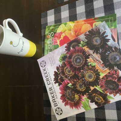 Planning My Summer Garden