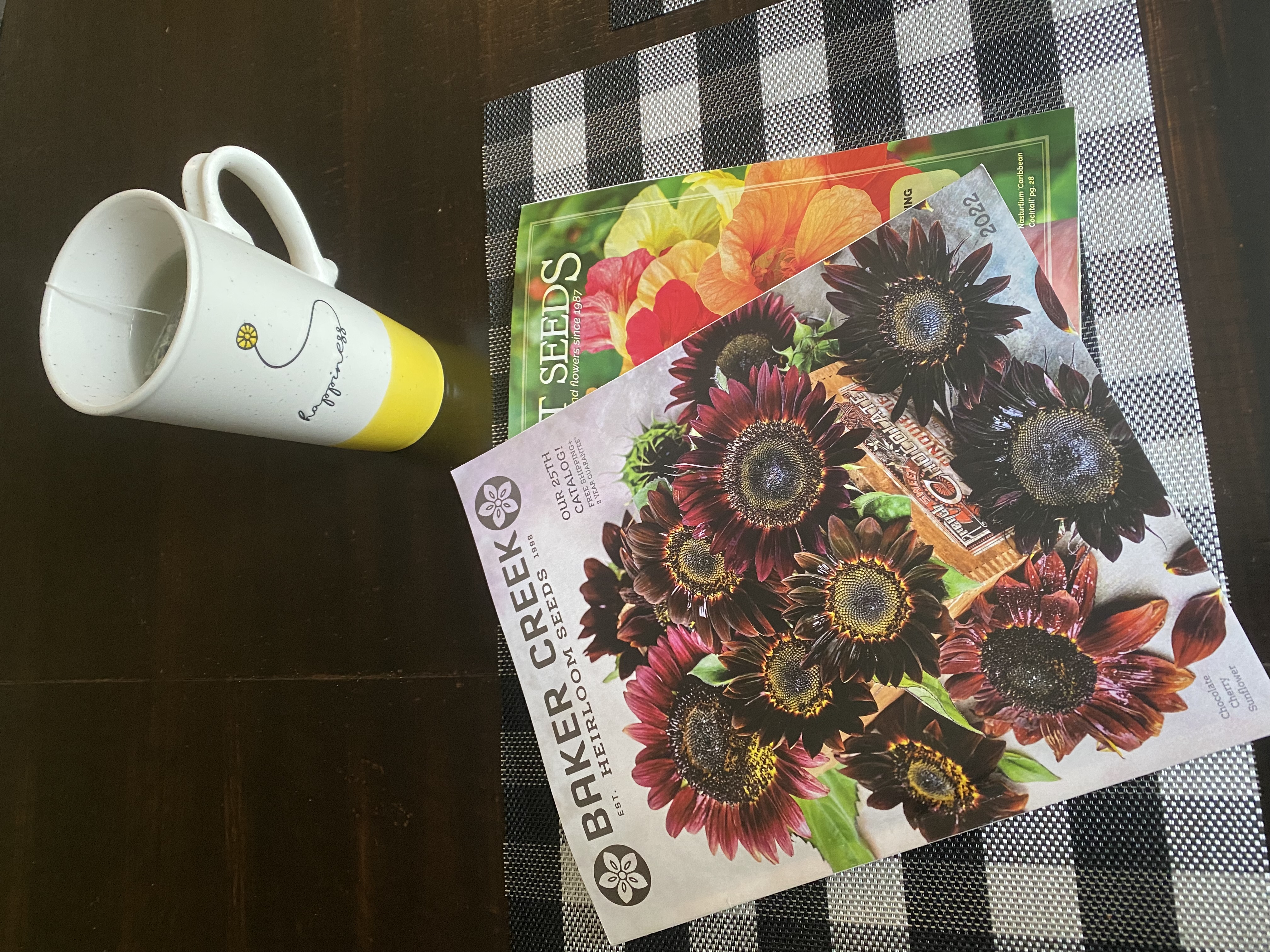 Planning My Summer Garden